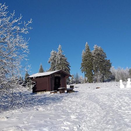 Aussicht Apartman Goslar Kültér fotó